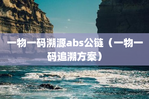 一物一码溯源abs公链（一物一码追溯方案）