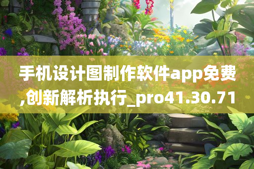 手机设计图制作软件app免费,创新解析执行_pro41.30.71