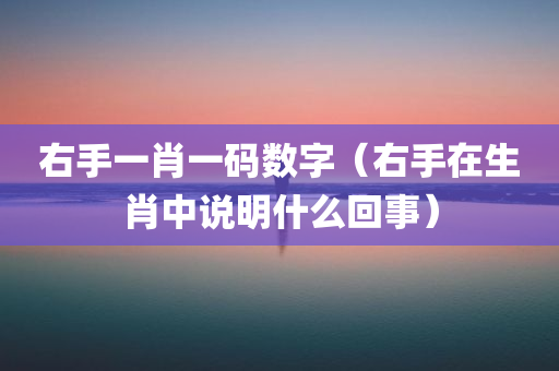 右手一肖一码数字（右手在生肖中说明什么回事）