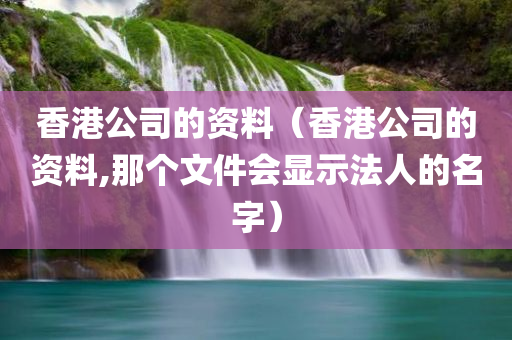 香港公司的资料（香港公司的资料,那个文件会显示法人的名字）