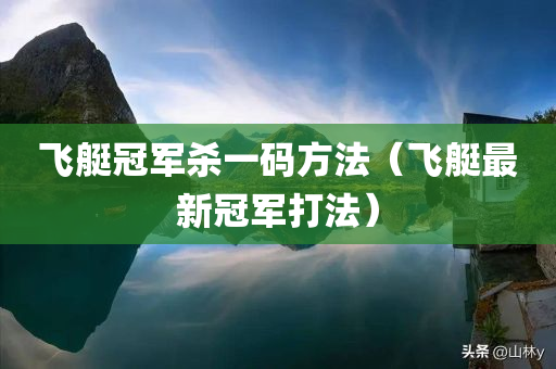 飞艇冠军杀一码方法（飞艇最新冠军打法）