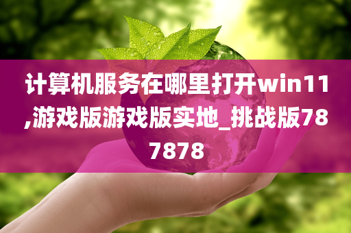 计算机服务在哪里打开win11,游戏版游戏版实地_挑战版787878