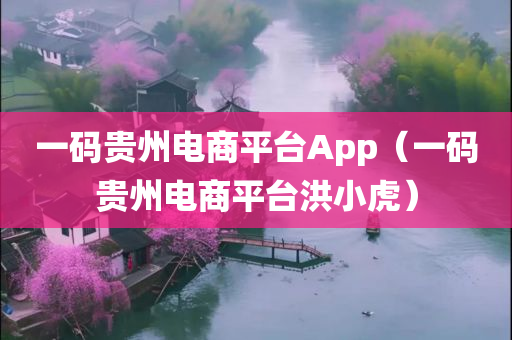 一码贵州电商平台App（一码贵州电商平台洪小虎）