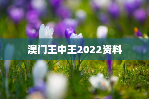 澳门王中王2022资料