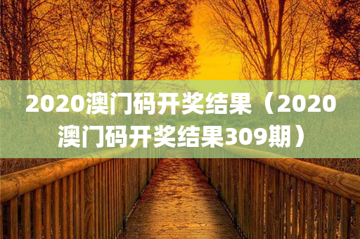 2020澳门码开奖结果（2020澳门码开奖结果309期）