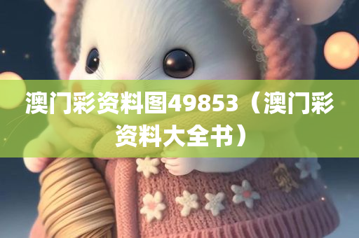 澳门彩资料图49853（澳门彩资料大全书）