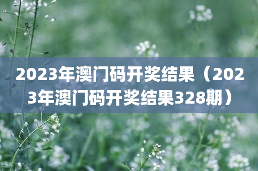 2023年澳门码开奖结果（2023年澳门码开奖结果328期）