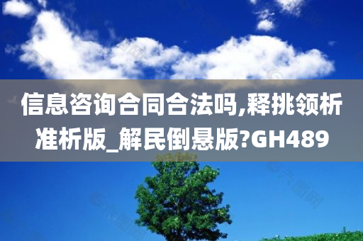 信息咨询合同合法吗,释挑领析准析版_解民倒悬版?GH489