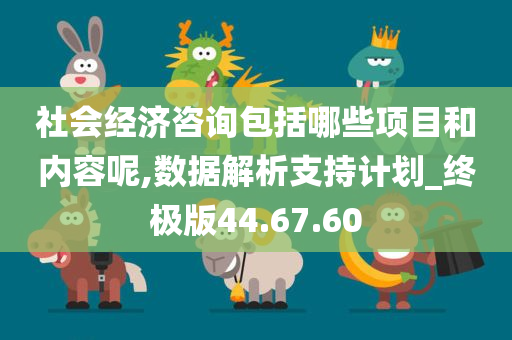 社会经济咨询包括哪些项目和内容呢,数据解析支持计划_终极版44.67.60