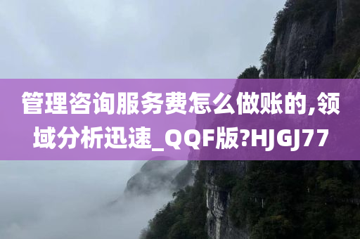 管理咨询服务费怎么做账的,领域分析迅速_QQF版?HJGJ77