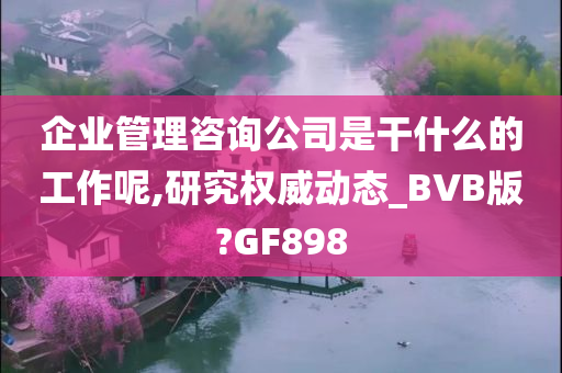 企业管理咨询公司是干什么的工作呢,研究权威动态_BVB版?GF898