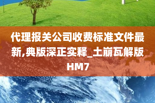 代理报关公司收费标准文件最新,典版深正实释_土崩瓦解版HM7