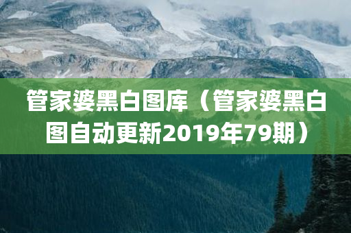 管家婆黑白图库（管家婆黑白图自动更新2019年79期）