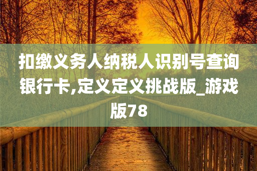 扣缴义务人纳税人识别号查询银行卡,定义定义挑战版_游戏版78