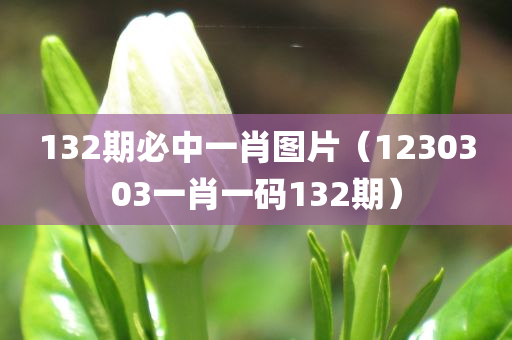 132期必中一肖图片（1230303一肖一码132期）