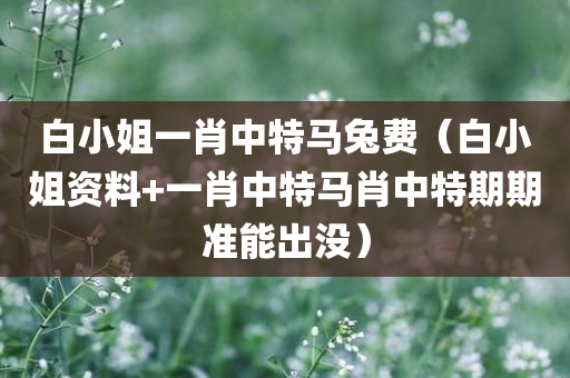 白小姐一肖中特马兔费（白小姐资料+一肖中特马肖中特期期准能出没）