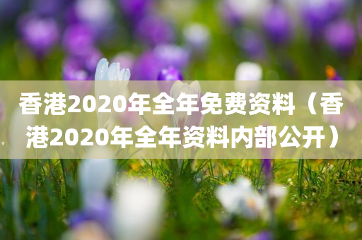 香港2020年全年免费资料（香港2020年全年资料内部公开）