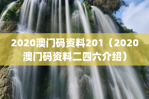 2020澳门码资料201（2020澳门码资料二四六介绍）