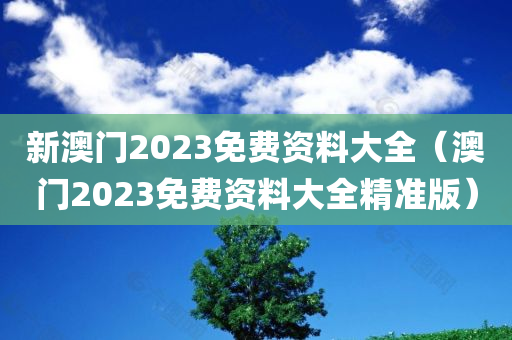 新澳门2023免费资料大全（澳门2023免费资料大全精准版）