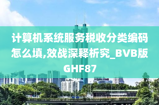 计算机系统服务税收分类编码怎么填,效战深释析究_BVB版GHF87