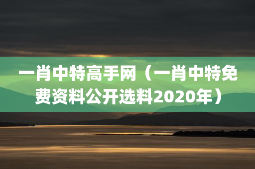 一肖中特高手网（一肖中特免费资料公开选料2020年）