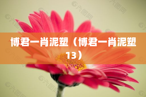 博君一肖泥塑（博君一肖泥塑13）