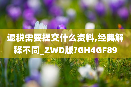 退税需要提交什么资料,经典解释不同_ZWD版?GH4GF89