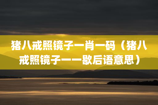 猪八戒照镜子一肖一码（猪八戒照镜子一一歇后语意思）