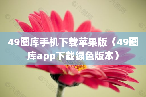 49图库手机下载苹果版（49图库app下载绿色版本）