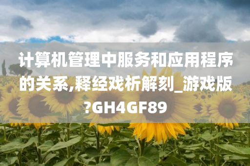 计算机管理中服务和应用程序的关系,释经戏析解刻_游戏版?GH4GF89