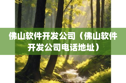 佛山软件开发公司（佛山软件开发公司电话地址）