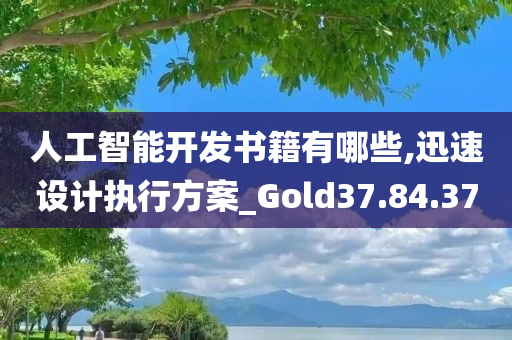 人工智能开发书籍有哪些,迅速设计执行方案_Gold37.84.37