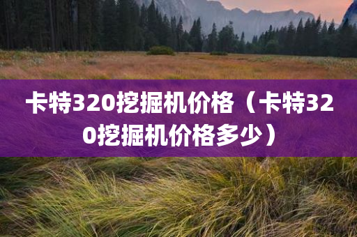 卡特320挖掘机价格（卡特320挖掘机价格多少）