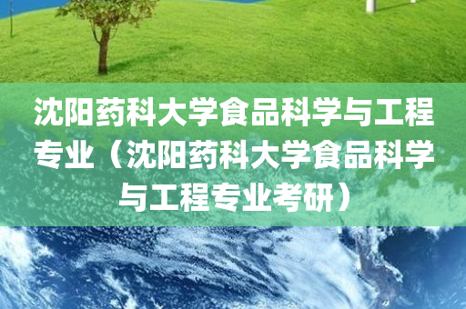 沈阳药科大学食品科学与工程专业（沈阳药科大学食品科学与工程专业考研）