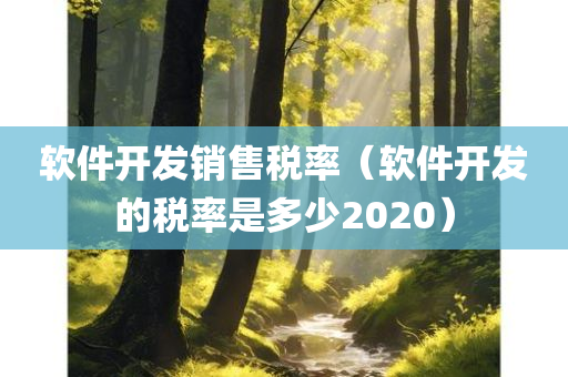 软件开发销售税率（软件开发的税率是多少2020）