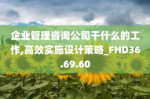 企业管理咨询公司干什么的工作,高效实施设计策略_FHD36.69.60