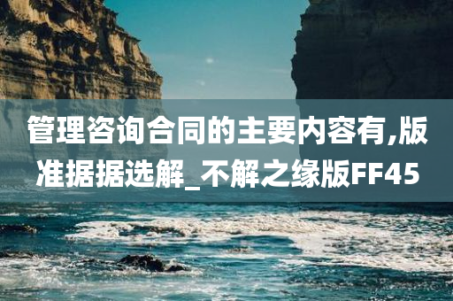 管理咨询合同的主要内容有,版准据据选解_不解之缘版FF45