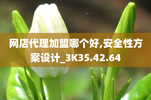 网店代理加盟哪个好,安全性方案设计_3K35.42.64