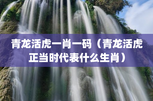 青龙活虎一肖一码（青龙活虎正当时代表什么生肖）