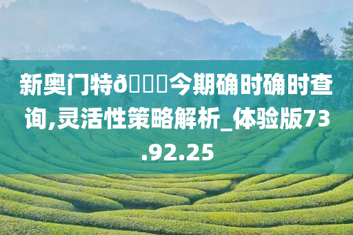 新奥门特??今期确时确时查询,灵活性策略解析_体验版73.92.25