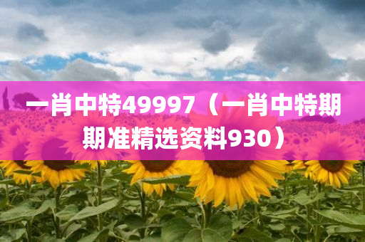 一肖中特49997（一肖中特期期准精选资料930）