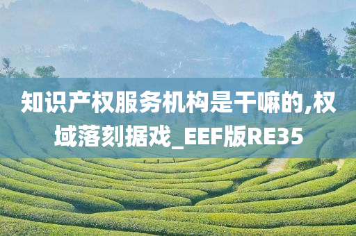 知识产权服务机构是干嘛的,权域落刻据戏_EEF版RE35