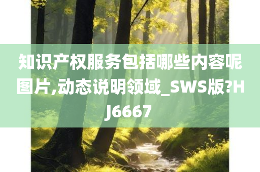 知识产权服务包括哪些内容呢图片,动态说明领域_SWS版?HJ6667