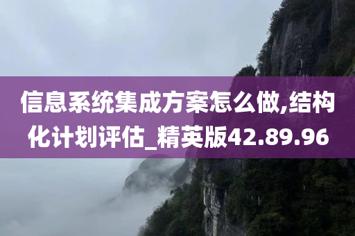 信息系统集成方案怎么做,结构化计划评估_精英版42.89.96