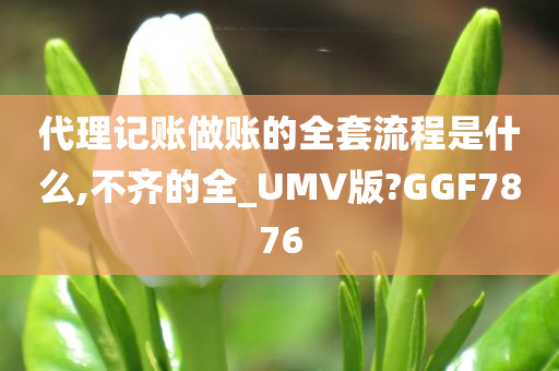 代理记账做账的全套流程是什么,不齐的全_UMV版?GGF7876