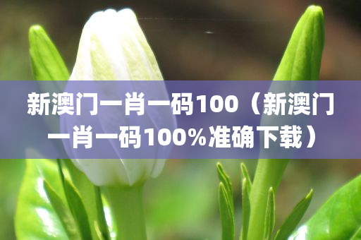 新澳门一肖一码100（新澳门一肖一码100%准确下载）