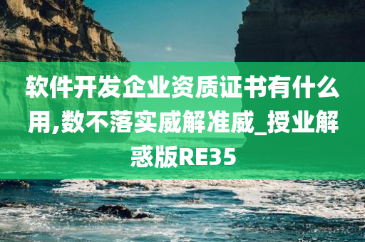 软件开发企业资质证书有什么用,数不落实威解准威_授业解惑版RE35