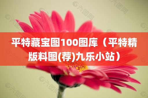 平特藏宝图100图库（平特精版料图(荐)九乐小站）