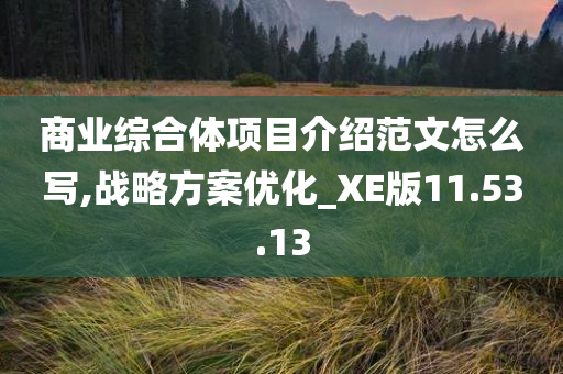 商业综合体项目介绍范文怎么写,战略方案优化_XE版11.53.13