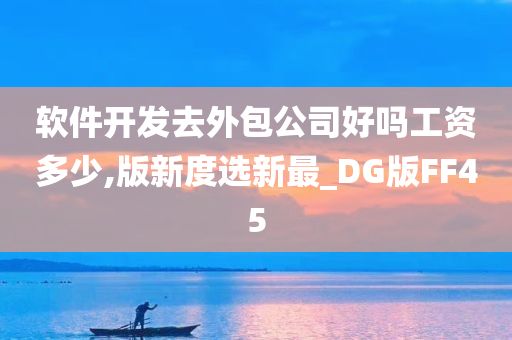 软件开发去外包公司好吗工资多少,版新度选新最_DG版FF45